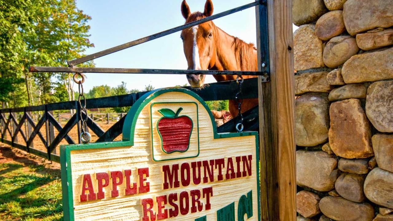 Holiday Inn Club Vacations Apple Mountain Resort At Clarkesville Экстерьер фото